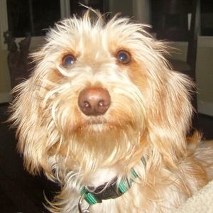 Meet your Posher, Fabiola